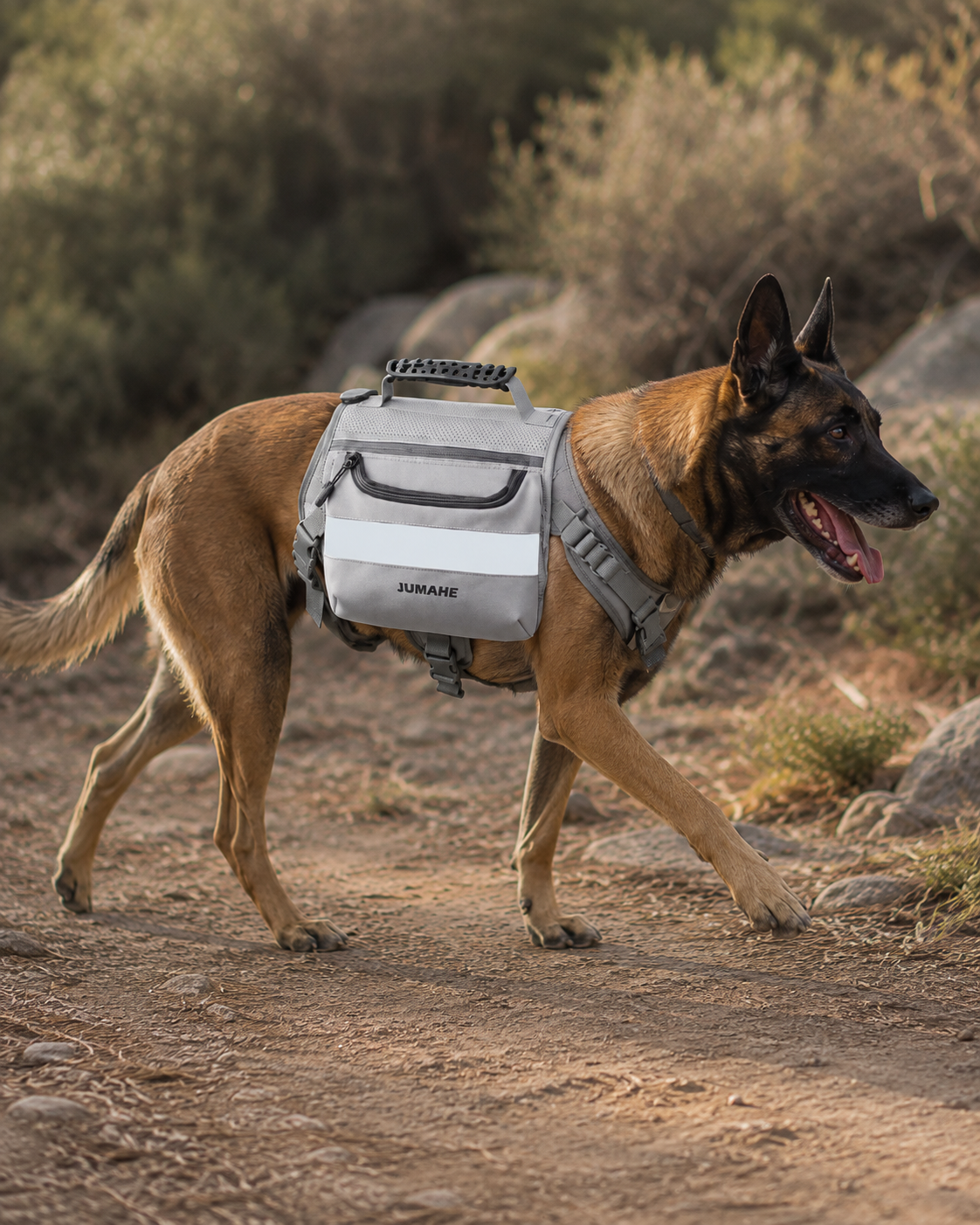 Large Capacity Dog Training Backpack Reflective Saddlebag