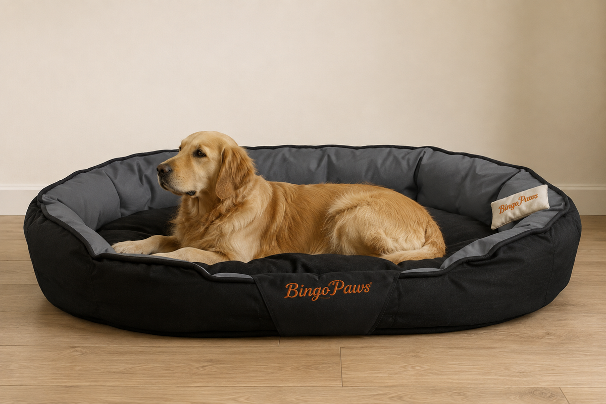 Comfort Haven™ Orthopedic Pet Sofa Bed