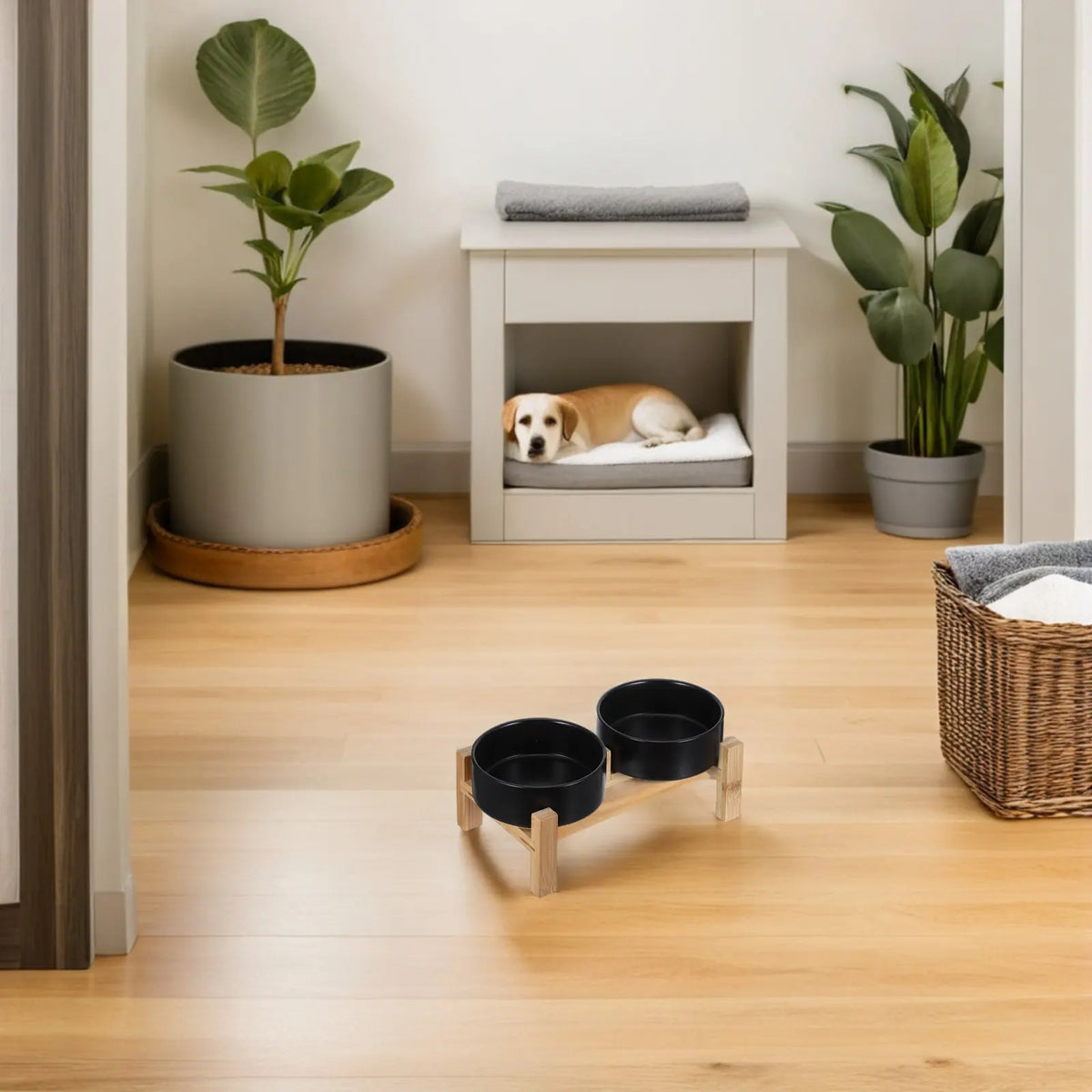 Ceramic Dog Bowl Set Raised Non-Slip Stand